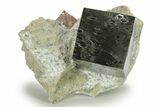 Natural Pyrite Cube In Rock - Navajun, Spain #227639-1